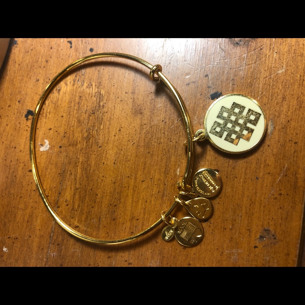 Alex and ani endless knot charm bracelet